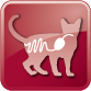 79_04_icons Gastrointestinal feline PNG_2